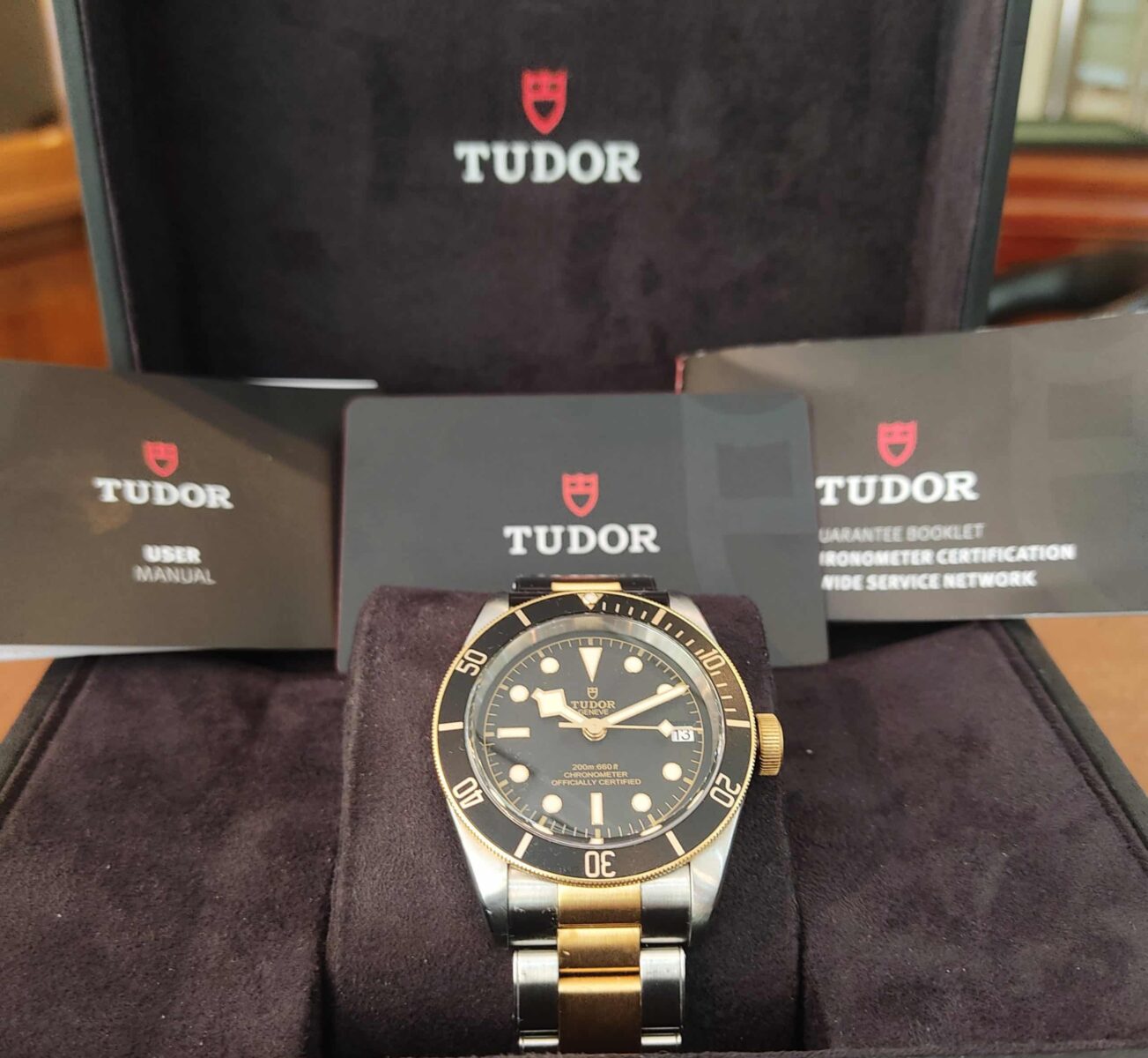 Tudor Black Bay Steel & Gold M79733N | Gothelf A. Watches
